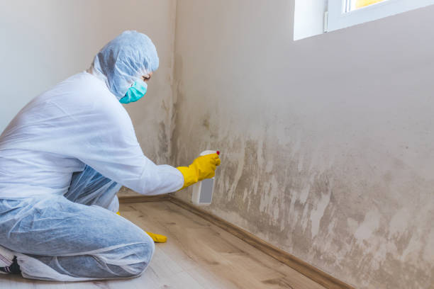 Bathroom Mold Removal assessment in Clearwater bathroom
